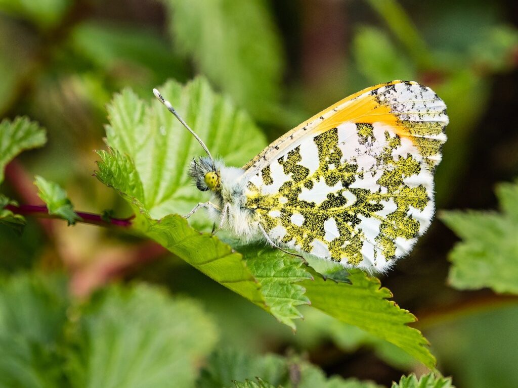 découvrez nos meilleurs conseils et astuces pour faciliter votre quotidien et améliorer votre productivité. profitez de tips pratiques et faciles à appliquer dans tous les domaines !