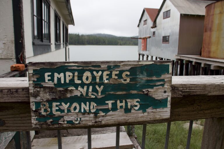 découvrez des avantages exclusifs réservés à nos employés, conçus pour améliorer leur bien-être et leur satisfaction au travail.